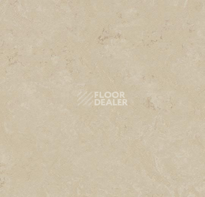 Кварцвиниловые полы Forbo Marmoleum Modular t3711 cloudy sand фото 1 | FLOORDEALER